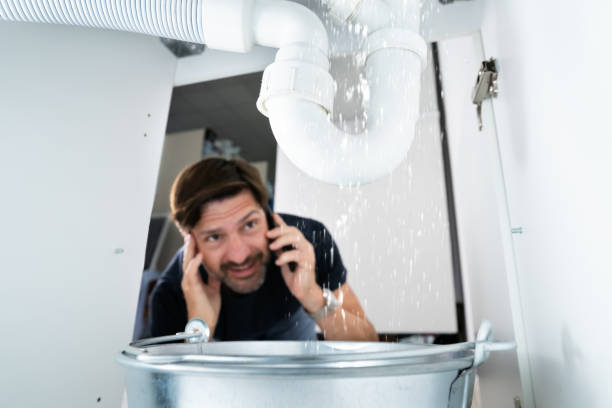 Best Sprinkler Systems  in Shelbina, MO