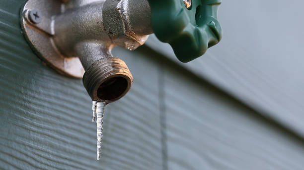 Best Plumbing Services Near Me  in Shelbina, MO