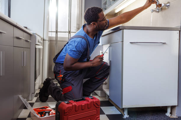 Best Plumbing Inspection Services  in Shelbina, MO
