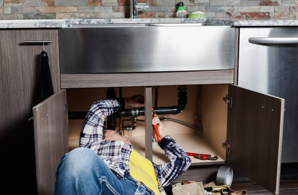 Best Plumbing Inspection Services  in Shelbina, MO